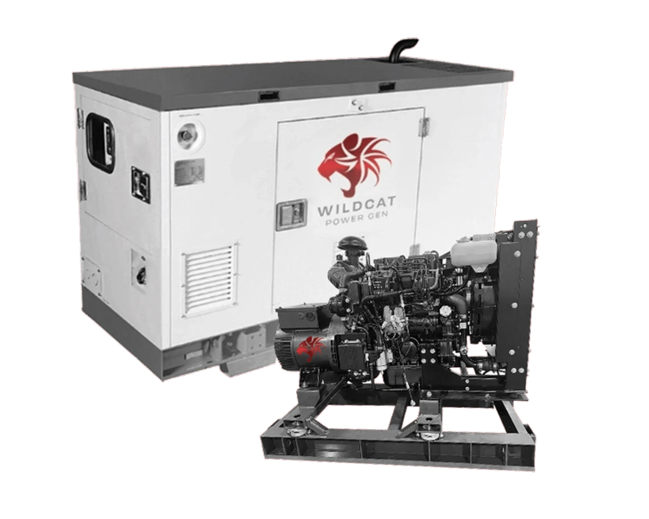 Wildcat Renegade 15kW Propane  or Natural Gas Generator 3-Phase