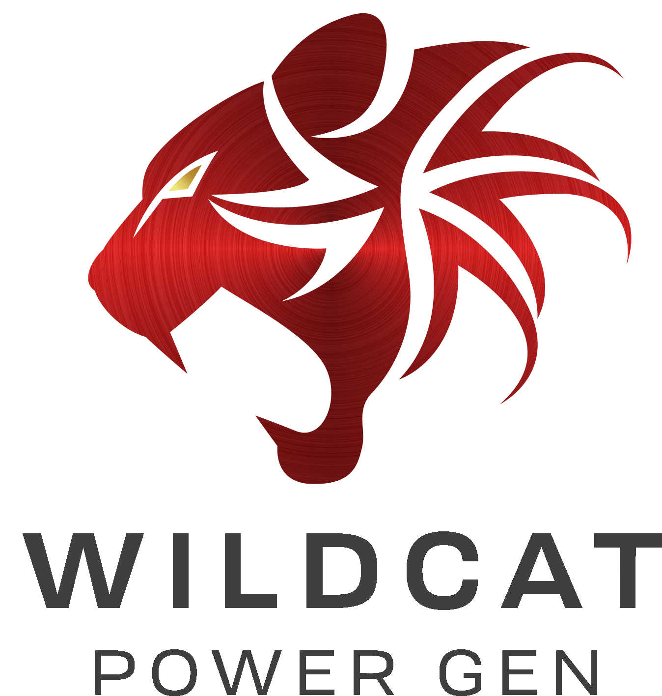 Wildcat Freedom 15kW Natural Gas or Propane Generator