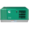 Cummins Onan QG 4000 CARB Compliant Generator – A073X541