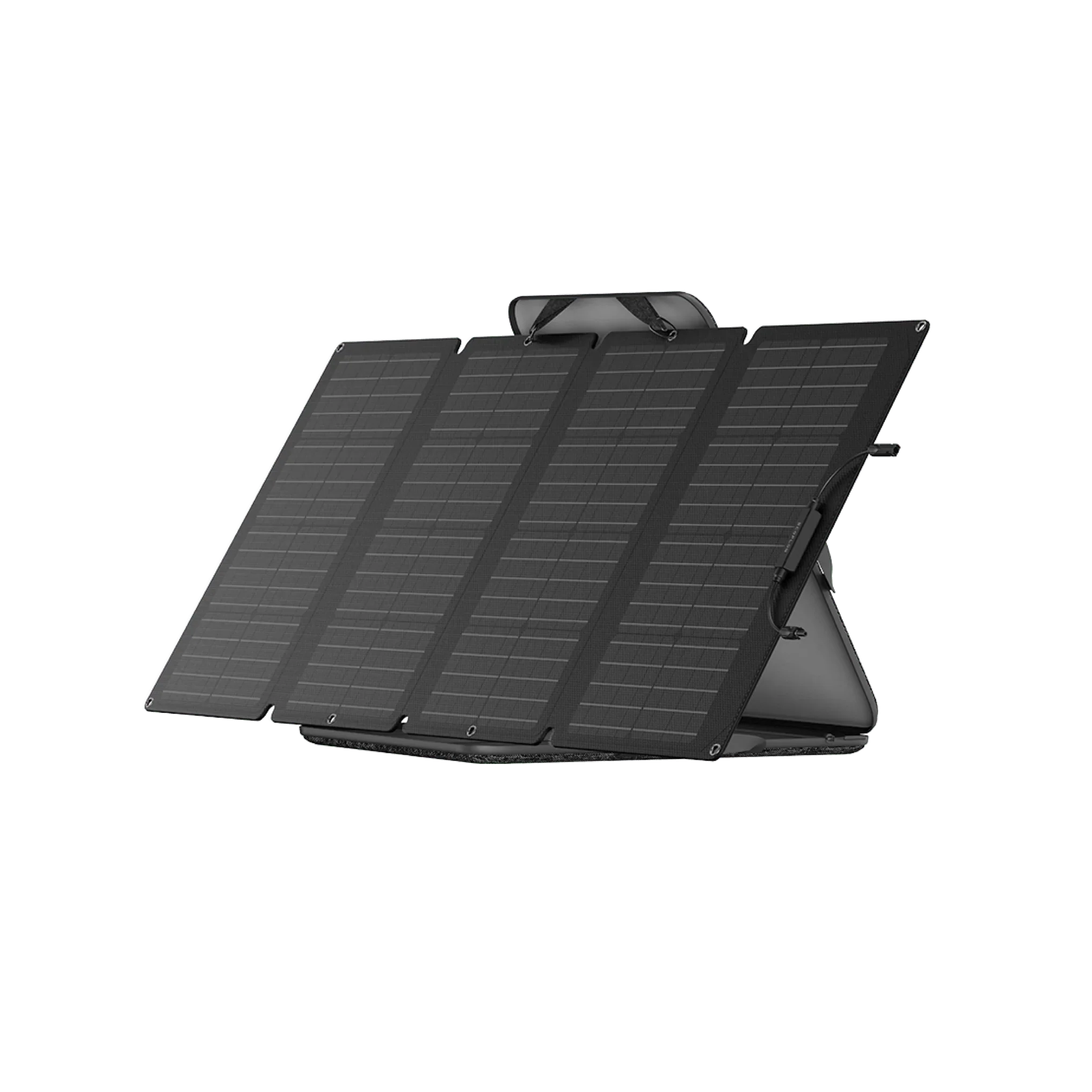 Ecoflow Delta Pro With 160 Watt Panel and Delta Pro Bag