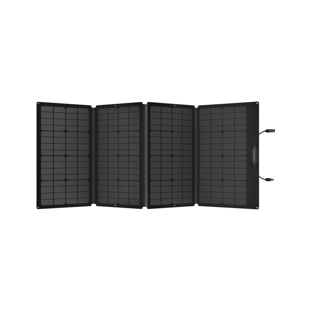 Ecoflow Delta Pro With 160 Watt Panel and Delta Pro Bag