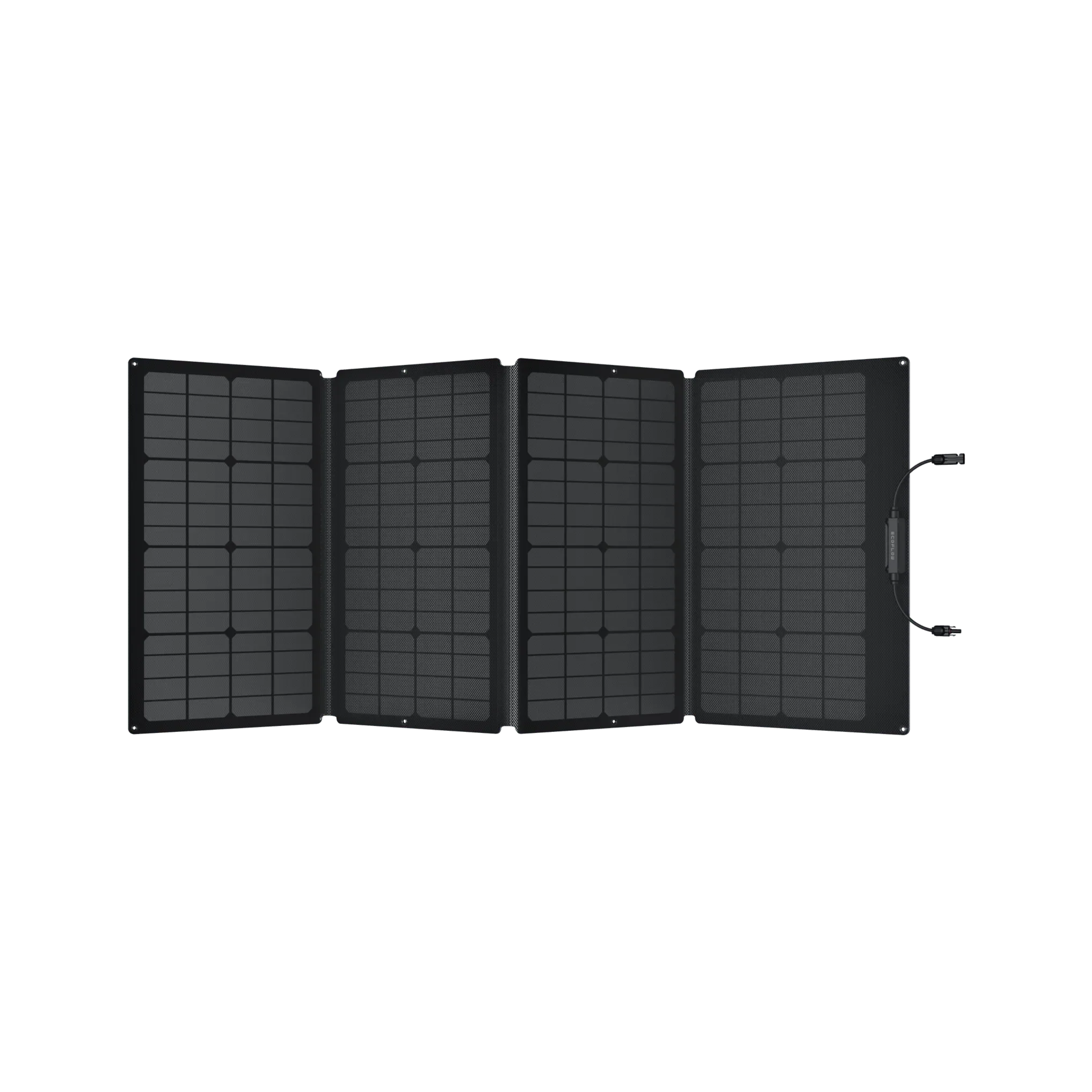 Ecoflow Delta Pro With 160 Watt Panel and Delta Pro Bag