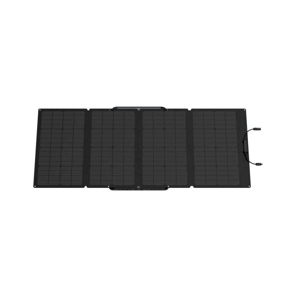 Ecoflow Delta Pro With 160 Watt Panel and Delta Pro Bag