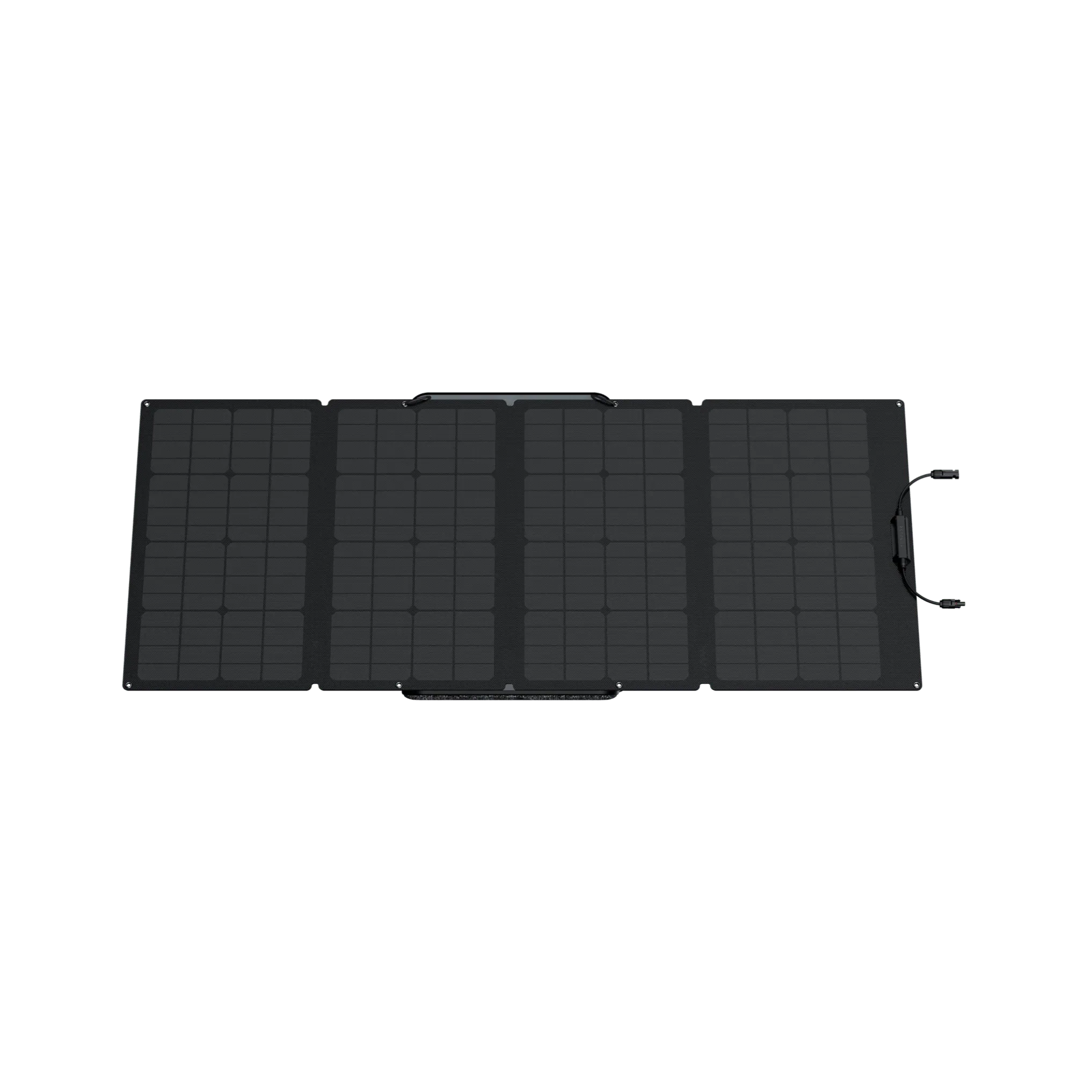 Ecoflow Delta Pro With 160 Watt Panel and Delta Pro Bag