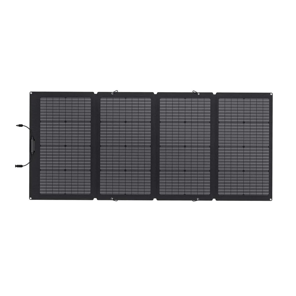 EcoFlow DELTA Pro + 220W Solar Panel + Bag + MC4 Extension Cable + Remote Control