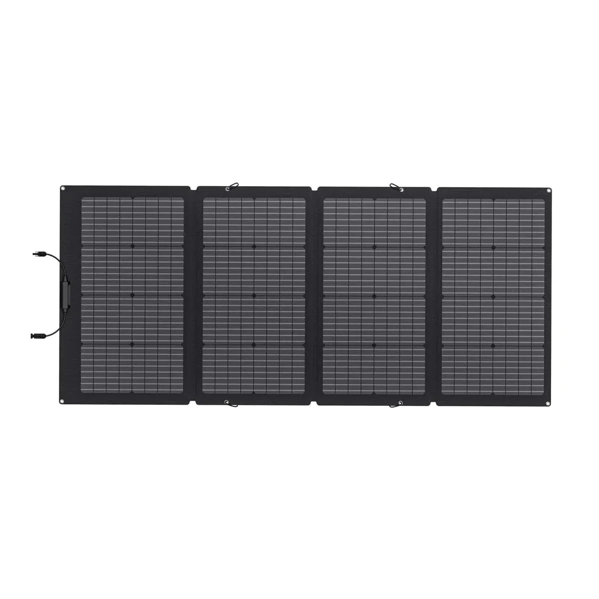 EcoFlow DELTA Pro + 220W Solar Panel + Bag + MC4 Extension Cable + Remote Control