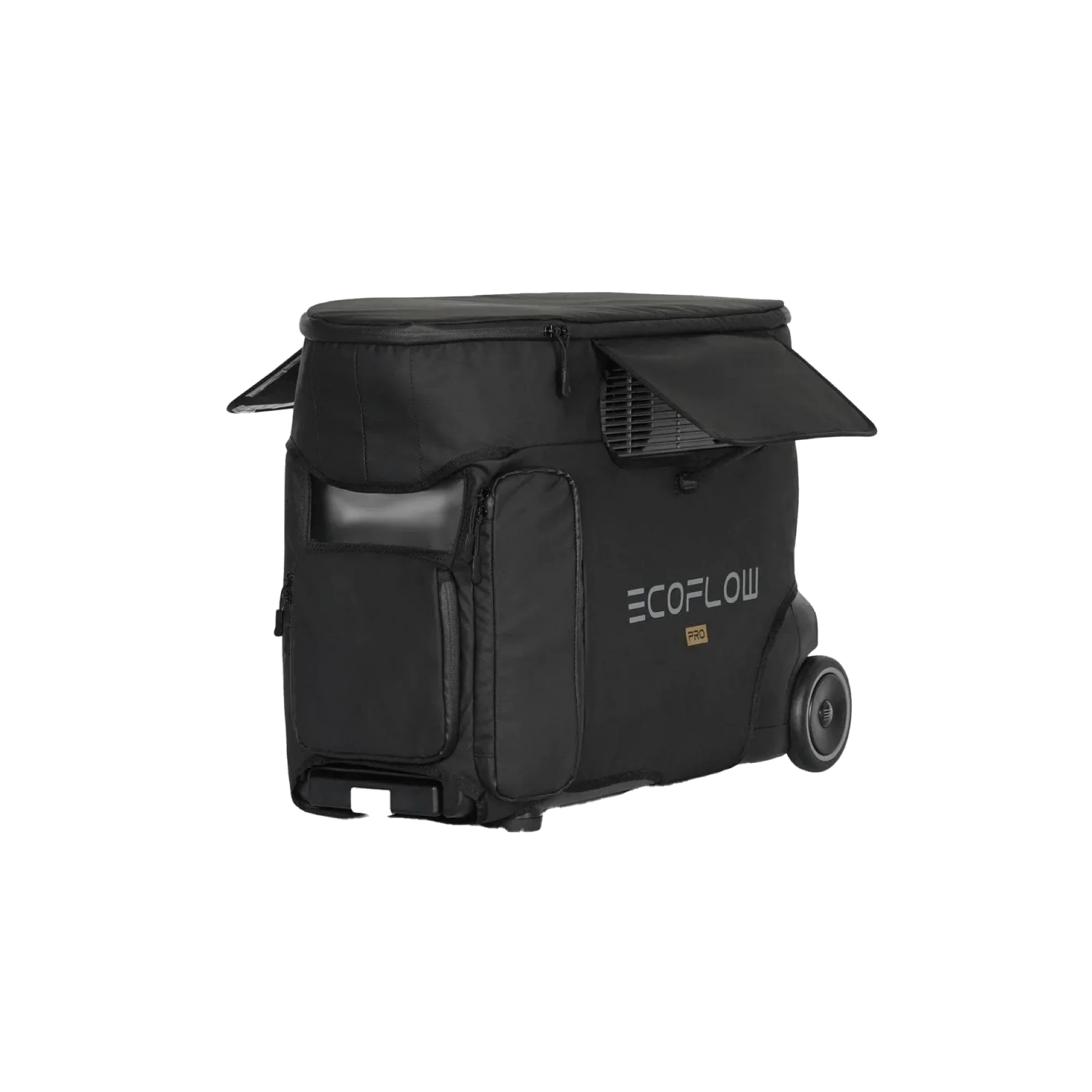 EcoFlow DELTA Pro Bag
