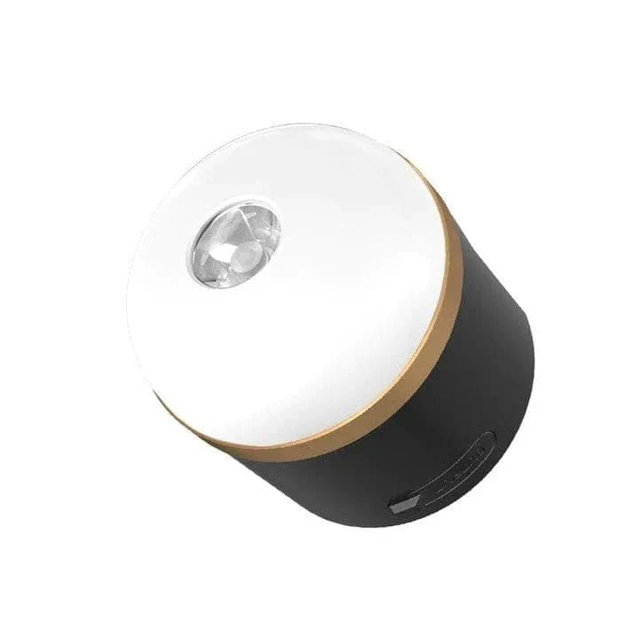 EcoFlow DELTA Pro Portable Power Station + FREE Camping Light